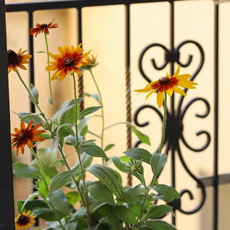 Apartament Veizaj Center Berat